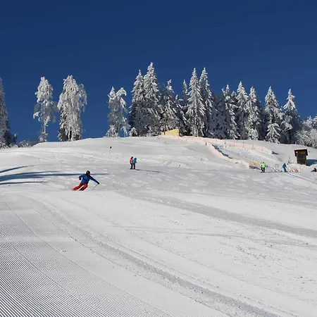 Appartamento Ferienwohnung Nussbaumer Schwarzenberg im Bregenzerwald