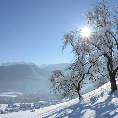 Ferienwohnung Nussbaumer Schwarzenberg im Bregenzerwald
